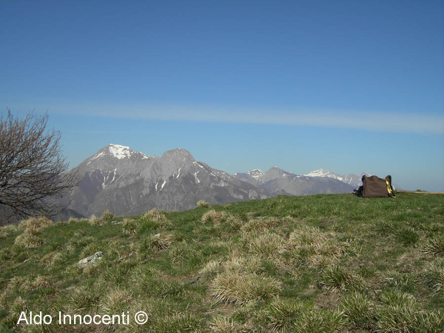 VETTA DEL MONTE PALODINA